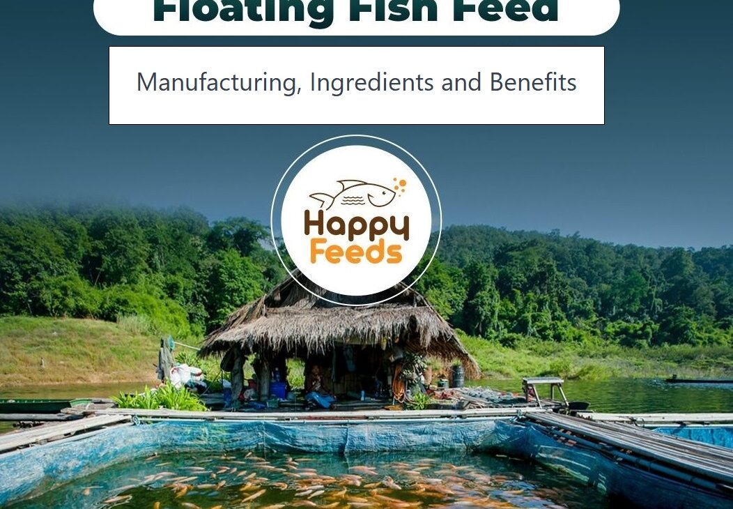Floating Fish Feed: Manufacturing, Ingredients, Sustainability, and Benefits